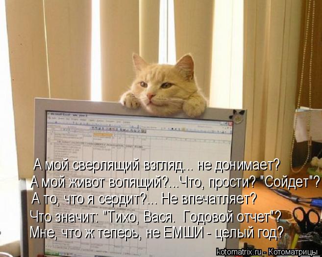Котоматрица: А мой сверлящий взгляд... не донимает? А то, что я сердит?... Не впечатляет? Мне, что ж теперь, не ЕМШИ - целый год?  А мой живот вопящий?...Что, прос