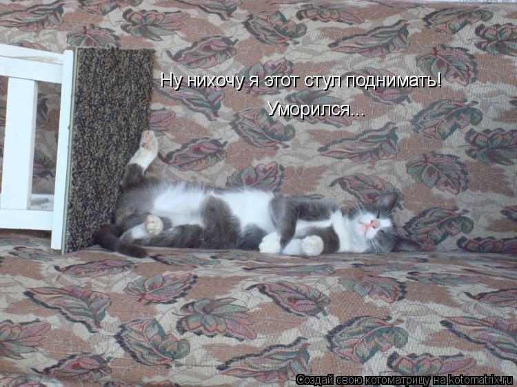 Ну нихочу я этот стул поднимать! Уморился...... Котоматрица: Ну нихочу я этот стул поднимать! Уморился...