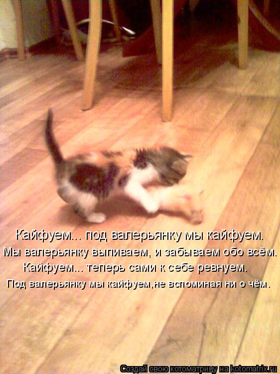 Кайфуем... под валерьянку мы кайфуем. Мы валерьянку выпиваем, и забываем обо всём. Кайфуем... теперь ... Котоматрица: Кайфуем... под валерьянку мы кайфуем. Мы валерьянку выпиваем, и забываем обо всём. Кайфуем... теперь сами к себе ревнуем. Под валерьянку мы кай