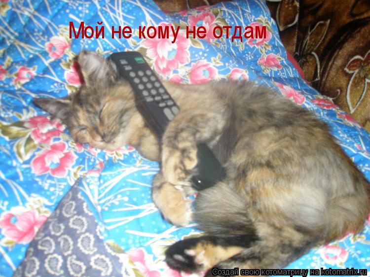 Мой не кому не отдам... Котоматрица: Мой не кому не отдам