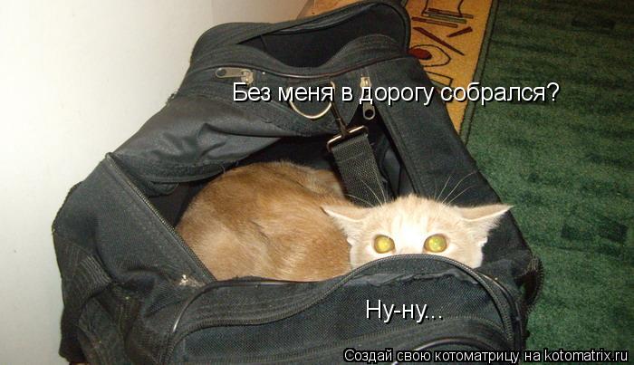 Без меня в дорогу собрался? Ну-ну...... Котоматрица: Без меня в дорогу собрался? Ну-ну...