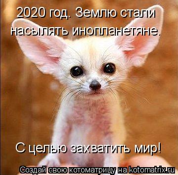 2020 год. Землю стали насылять инопланетяне. С целью захватить мир!... Котоматрица: 2020 год. Землю стали насылять инопланетяне. С целью захватить мир!