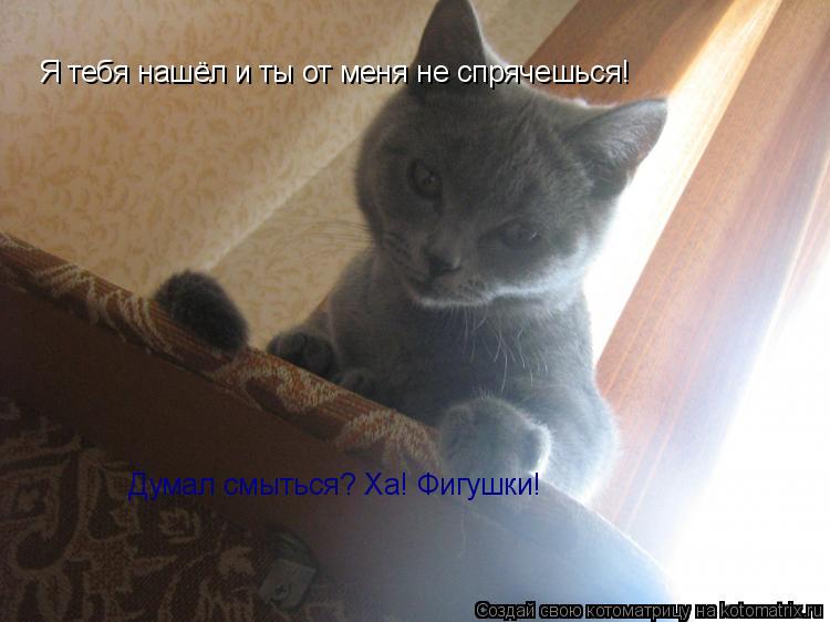 Я тебя нашёл и ты от меня не спрячешься! Думал смыться? Ха! Фигушки!... Котоматрица: Я тебя нашёл и ты от меня не спрячешься! Думал смыться? Ха! Фигушки!