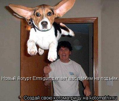 Новый йогурт Ermigurt делает вас лёгким на подъём.... Котоматрица: Новый йогурт Ermigurt делает вас лёгким на подъём.