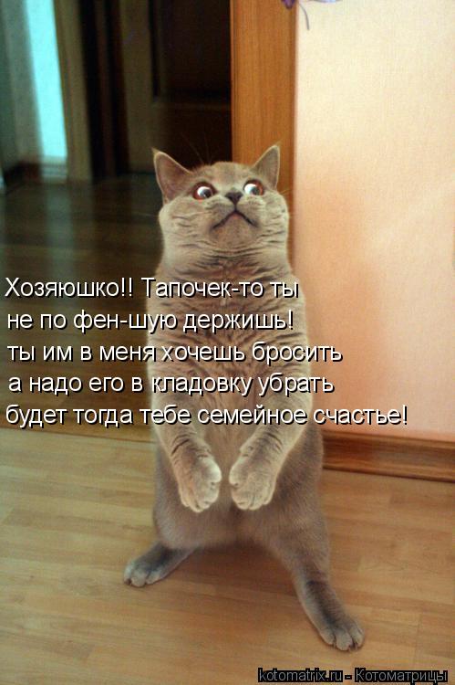 Хозяюшко!! Тапочек-то ты не по фен-шую держишь! ты им в меня хочешь бросить а надо его в кладовку убр... Котоматрица: Хозяюшко!! Тапочек-то ты не по фен-шую держишь! ты им в меня хочешь бросить а надо его в кладовку убрать будет тогда тебе семейное счастье!