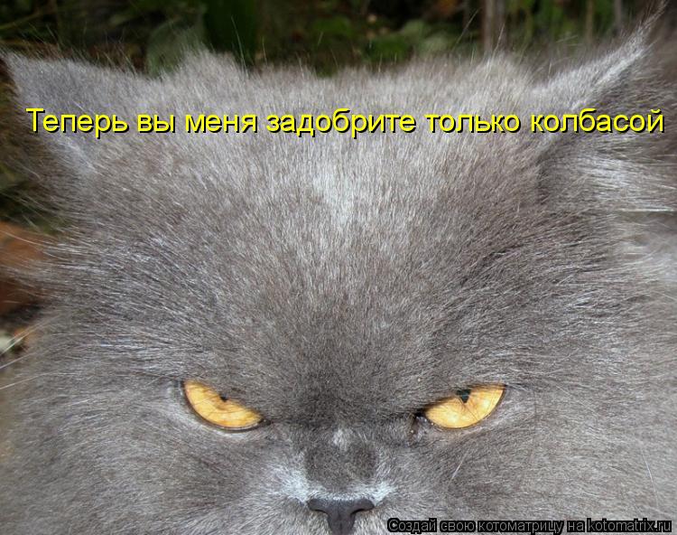 Теперь вы меня задобрите только колбасой... Котоматрица: Теперь вы меня задобрите только колбасой