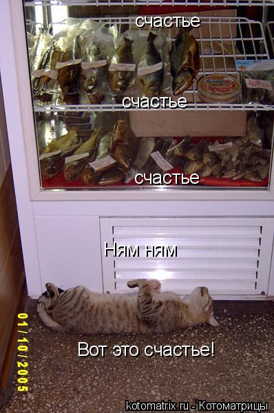 Вот это счастье! счастье счастье счастье Ням ням... Котоматрица: Вот это счастье! счастье счастье счастье Ням ням