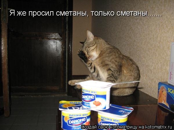 Я же просил сметаны, только сметаны.......... Котоматрица: Я же просил сметаны, только сметаны.......