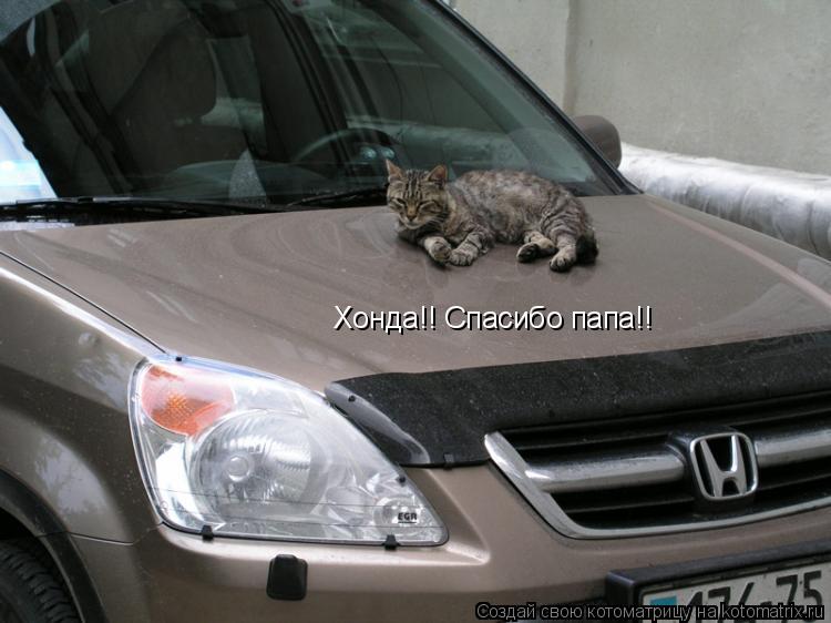 Хонда!! Спасибо папа!!... Котоматрица: Хонда!! Спасибо папа!!