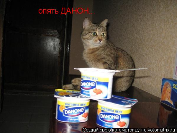 опять ДАНОН...... Котоматрица: опять ДАНОН...