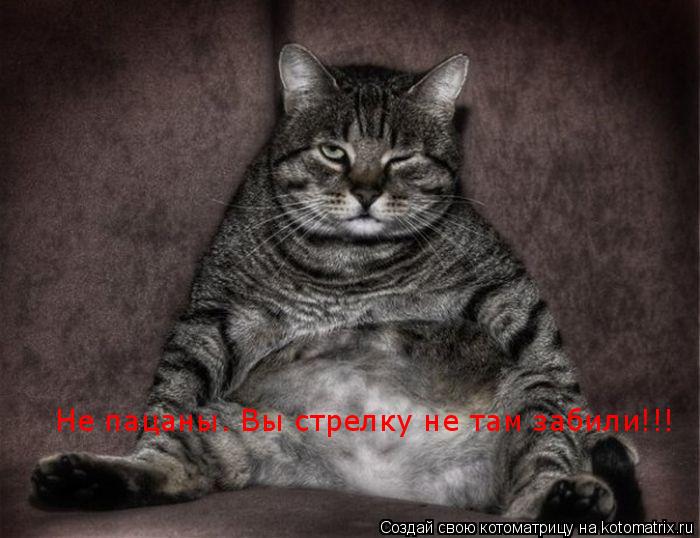 Не пацаны. Вы стрелку не там забили!!!... Котоматрица: Не пацаны. Вы стрелку не там забили!!!