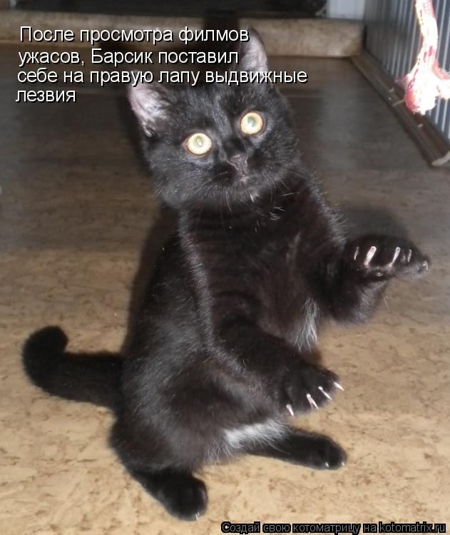 После просмотра После просмотра филмов ужасов, Барсик поставил себе на правую лапу выдвижные лезвия... Котоматрица: После просмотра После просмотра филмов ужасов, Барсик поставил себе на правую лапу выдвижные лезвия