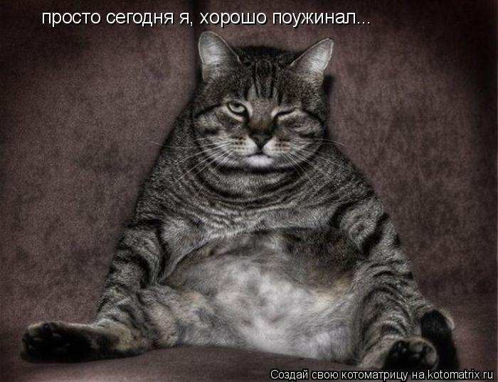 просто сегодня я, хорошо поужинал...... Котоматрица: просто сегодня я, хорошо поужинал...