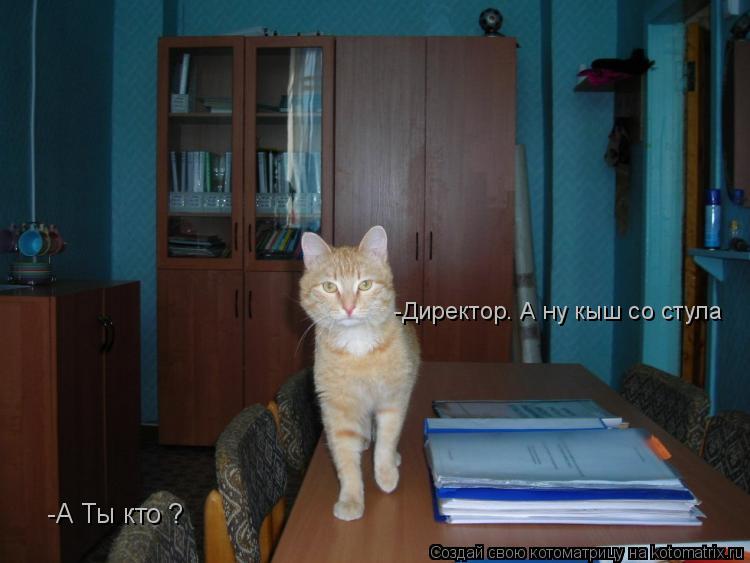 -А Ты кто ? -Директор. А ну кыш со стула... Котоматрица: -А Ты кто ? -Директор. А ну кыш со стула
