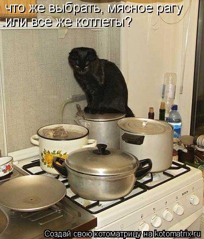 что же выбрать, мясное рагу или все же котлеты?... Котоматрица: что же выбрать, мясное рагу или все же котлеты?