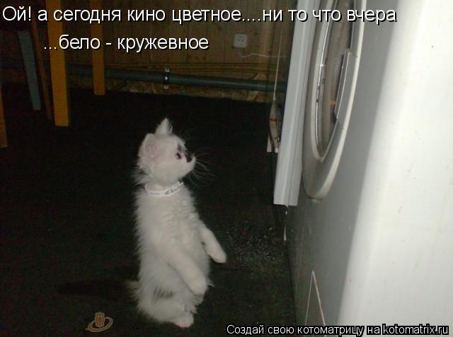 Ой! а сегодня кино цветное....ни то что вчера ...бело - кружевное... Котоматрица: Ой! а сегодня кино цветное....ни то что вчера ...бело - кружевное