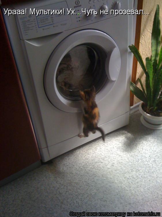 Урааа! Мультики! Ух...Чуть не прозевал...... Котоматрица: Урааа! Мультики! Ух...Чуть не прозевал...