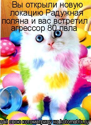 Вы открыли новую локацию Радужная поляна и вас встретил агрессор 80 лвла... Котоматрица: Вы открыли новую локацию Радужная поляна и вас встретил агрессор 80 лвла