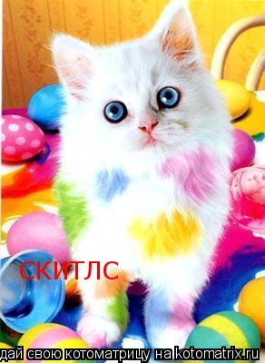 СКИТЛС... Котоматрица: СКИТЛС
