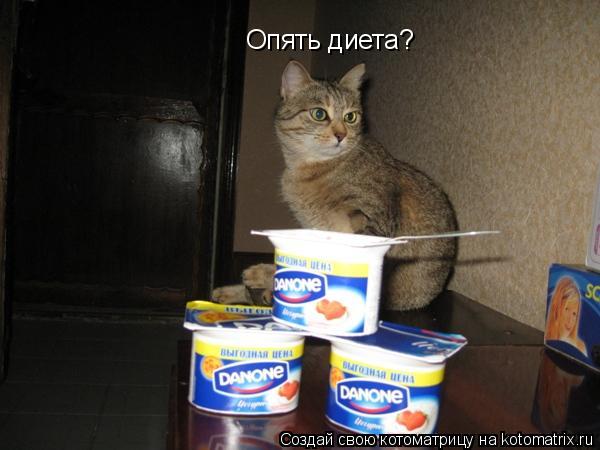 Опять диета?... Котоматрица: Опять диета?