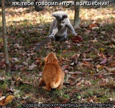 яж тебе говорил что я волшебник!... Котоматрица: яж тебе говорил что я волшебник!