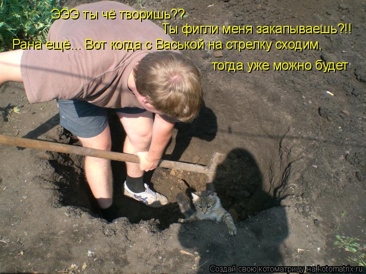 ЭЭЭ ты чё творишь?? Ты фигли меня закапываешь?!! Рана ещё... Вот когда с Васькой на стрелку сходим, т... Котоматрица: ЭЭЭ ты чё творишь?? Ты фигли меня закапываешь?!! Рана ещё... Вот когда с Васькой на стрелку сходим, тогда уже можно будет