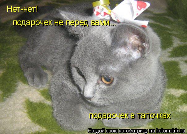 Нет-нет! подарочек не перед вами... подарочек в тапочках... Котоматрица: Нет-нет! подарочек не перед вами... подарочек в тапочках