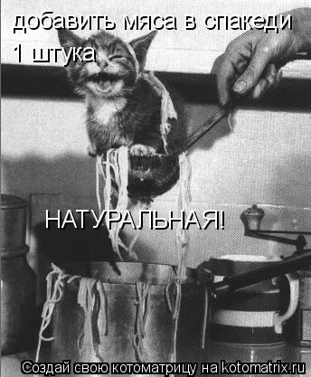 добавить мяса в спакеди 1 штука НАТУРАЛЬНАЯ!... Котоматрица: добавить мяса в спакеди 1 штука НАТУРАЛЬНАЯ!