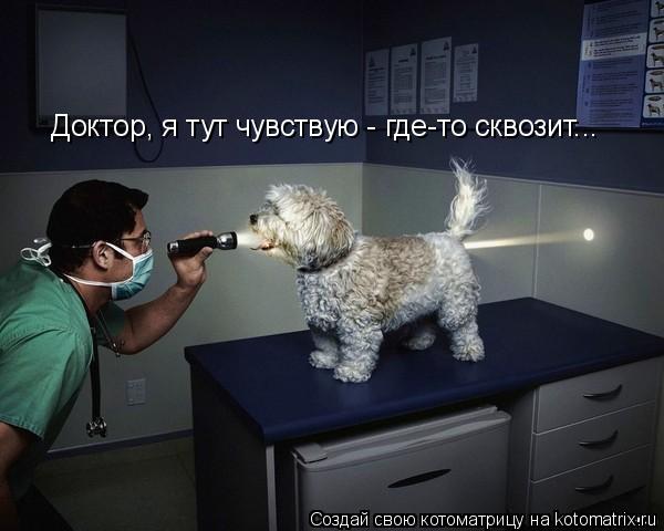Доктор, я тут чувствую - где-то сквозит...... Котоматрица: Доктор, я тут чувствую - где-то сквозит...