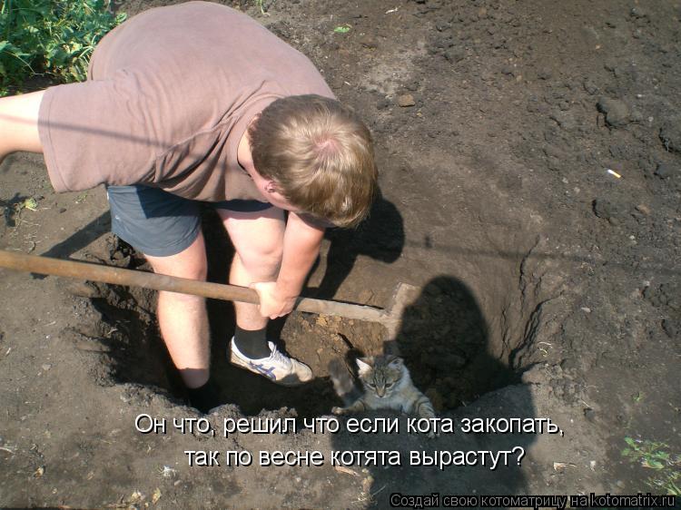 Он что, решил что если кота закопать, так по весне котята вырастут?... Котоматрица: Он что, решил что если кота закопать, так по весне котята вырастут?