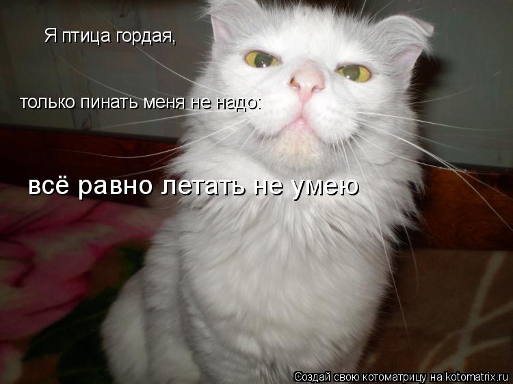 Я птица гордая, только пинать меня не надо: всё равно летать не умею... Котоматрица: Я птица гордая, только пинать меня не надо: всё равно летать не умею