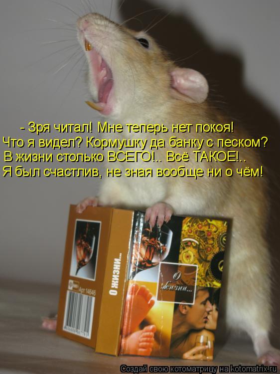 Что я видел? Кормушку да банку с песком? В жизни столько ВСЕГО!.. Всё ТАКОЕ!.. Я был счастлив, не зна... Котоматрица: Что я видел? Кормушку да банку с песком? В жизни столько ВСЕГО!.. Всё ТАКОЕ!.. Я был счастлив, не зная вообще ни о чём! - Зря читал! Мне теперь нет