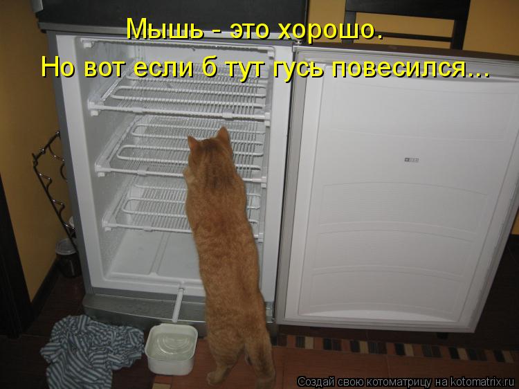 Мышь - это хорошо. Но вот если б тут гусь повесился...... Котоматрица: Мышь - это хорошо. Но вот если б тут гусь повесился...