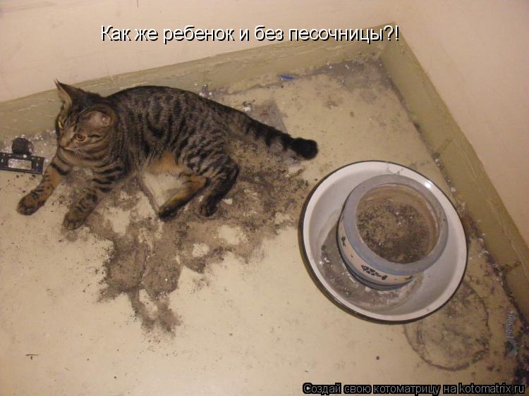 Как же ребенок и без песочницы?!... Котоматрица: Как же ребенок и без песочницы?!
