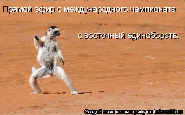 Прямой эфир с международного чемпионата с восточный единоборств.... Котоматрица: Прямой эфир с международного чемпионата с восточный единоборств.