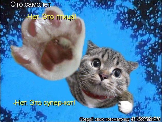 -Это самолет. -Нет. Это птица! -Нет. Это супер-кот!... Котоматрица: -Это самолет. -Нет. Это птица! -Нет. Это супер-кот!