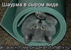 Шаурма в сыром виде.... Котоматрица: Шаурма в сыром виде.