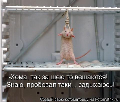 -Хома, так за шею то вешаются! -Знаю, пробовал таки... задыхаюсь!... Котоматрица: -Хома, так за шею то вешаются! -Знаю, пробовал таки... задыхаюсь!