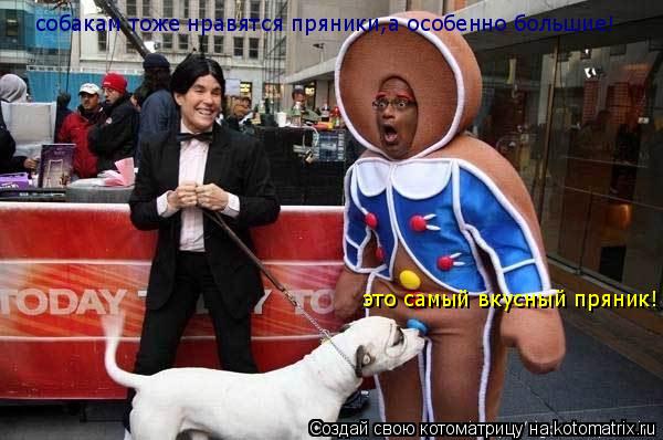 собакам тоже нравятся пряники,а особенно большие! это самый вкусный пряник!... Котоматрица: собакам тоже нравятся пряники,а особенно большие! это самый вкусный пряник!