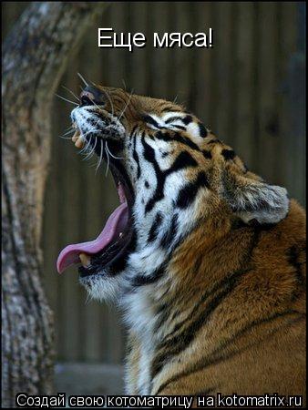 Еще мяса!... Котоматрица: Еще мяса!