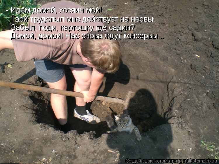 - Идём домой, хозяин мой! Твой трудопыл мне действует на нервы. Забыл, поди, картошку где садил? Домо... Котоматрица: - Идём домой, хозяин мой! Твой трудопыл мне действует на нервы. Забыл, поди, картошку где садил? Домой, домой! Нас снова ждут консервы...