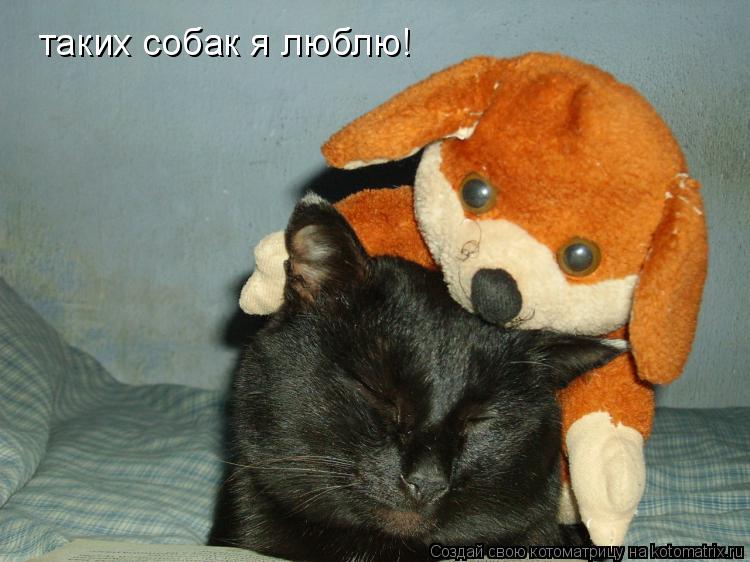 таких собак я люблю!... Котоматрица: таких собак я люблю!