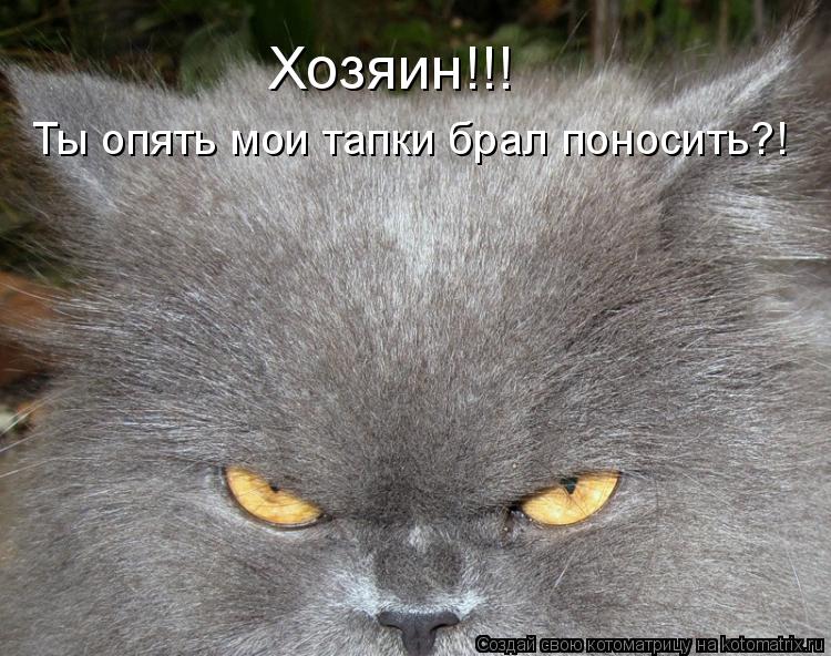 Хозяин!!! Ты опять мои тапки брал поносить?!... Котоматрица: Хозяин!!! Ты опять мои тапки брал поносить?!