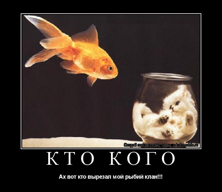Кто кого Ах вот кто вырезал мой рыбий клан!!!... Котоматрица: Кто кого Ах вот кто вырезал мой рыбий клан!!!