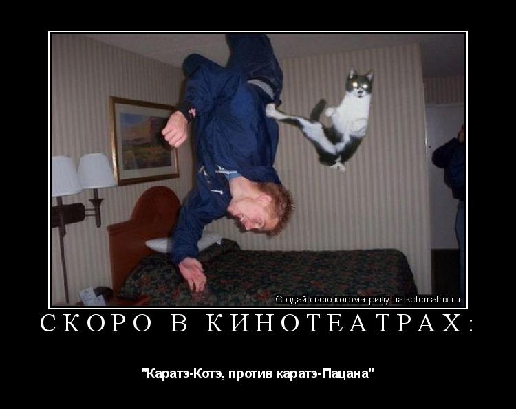 Скоро в кинотеатрах: "Каратэ-Котэ, против каратэ-Пацана"... Котоматрица: Скоро в кинотеатрах: "Каратэ-Котэ, против каратэ-Пацана"