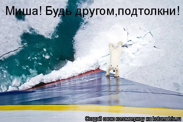 Миша! Будь другом,подтолкни!... Котоматрица: Миша! Будь другом,подтолкни!