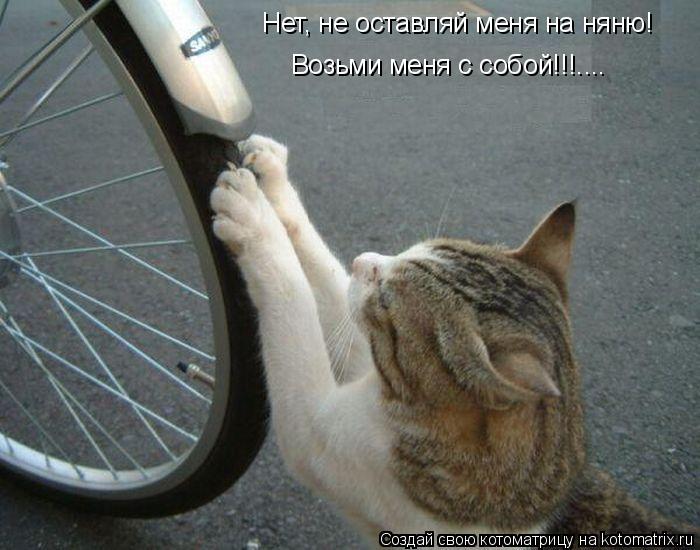 Нет, не оставляй меня на няню! Возьми меня с собой!!!....... Котоматрица: Нет, не оставляй меня на няню! Возьми меня с собой!!!....