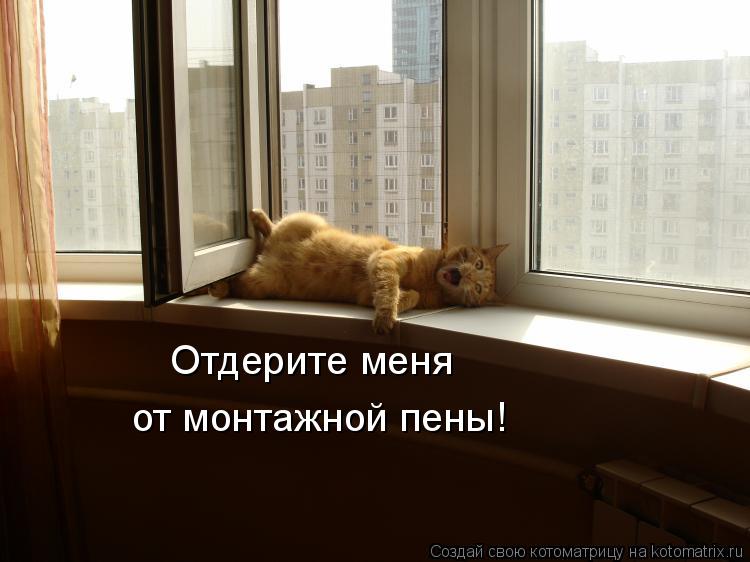 Отдерите меня от монтажной пены!... Котоматрица: Отдерите меня от монтажной пены!