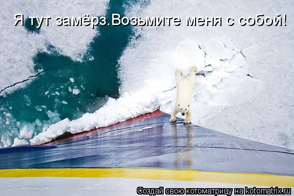 Я тут замёрз.Возьмите меня с собой!... Котоматрица: Я тут замёрз.Возьмите меня с собой!