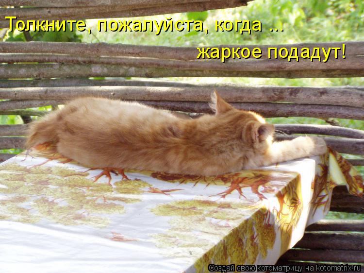 Толкните, пожалуйста, когда ... жаркое подадут!... Котоматрица: Толкните, пожалуйста, когда ... жаркое подадут!